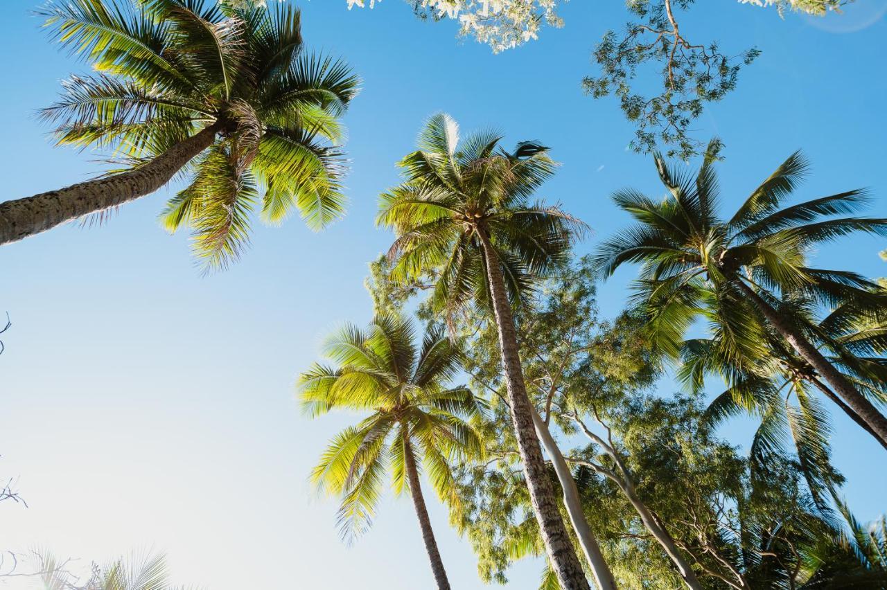 Villa Beach Palm Cove Clifton Beach Exteriér fotografie